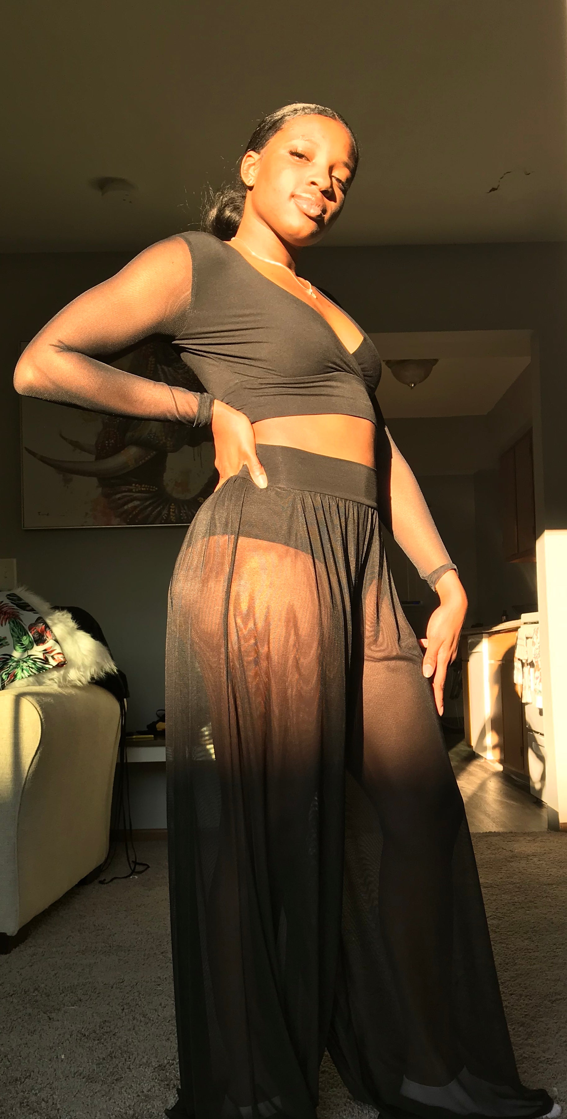 Long Sleeve V Neck Shirt Sheer bottom two 2 piece set